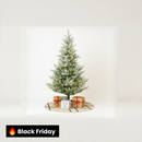 Árvore de Natal Nevada 2,10m de Altura - 1.286 Galhos - com luzes LED