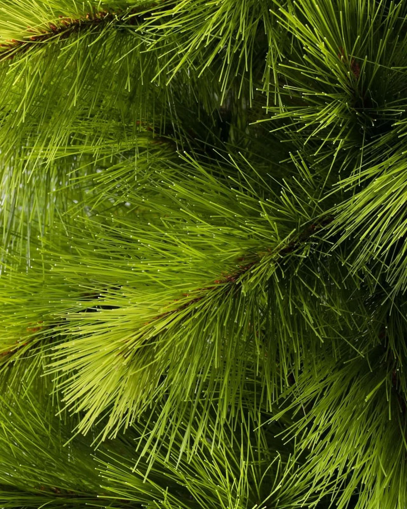 Árvore de Natal Monterey Pine Slim com Galhos Articulados, Suporte Metálico e Micro LEDs Embutidos